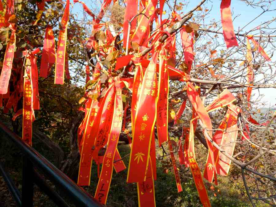 fragrant hill streamers