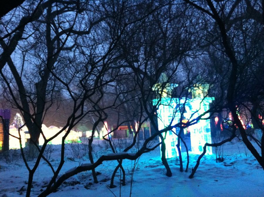 ice sculpture glimpsed thriugh the trees