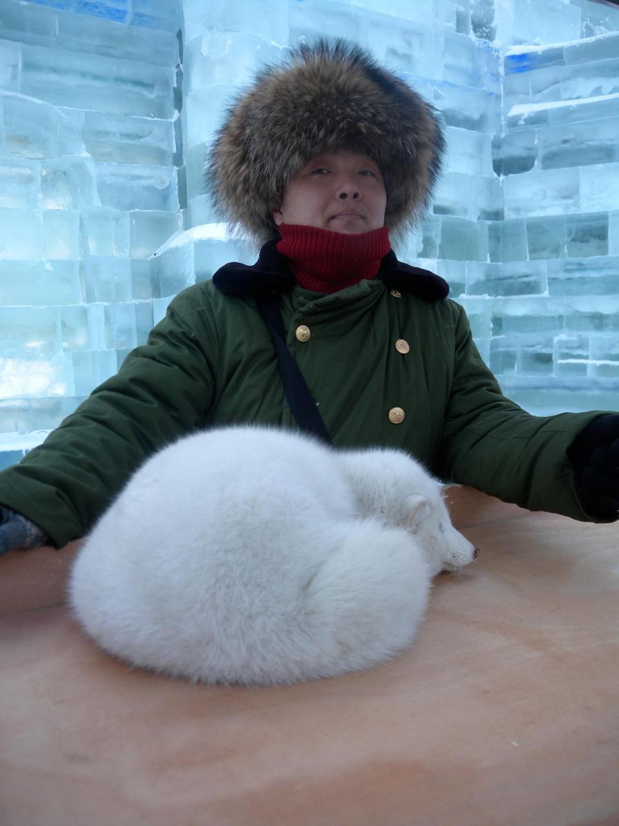 These cute snow foxes may be farmed rather than taken from the wild, you can pay to pet them and have your picture taken...needless to say we didn't succumb to the temptation.