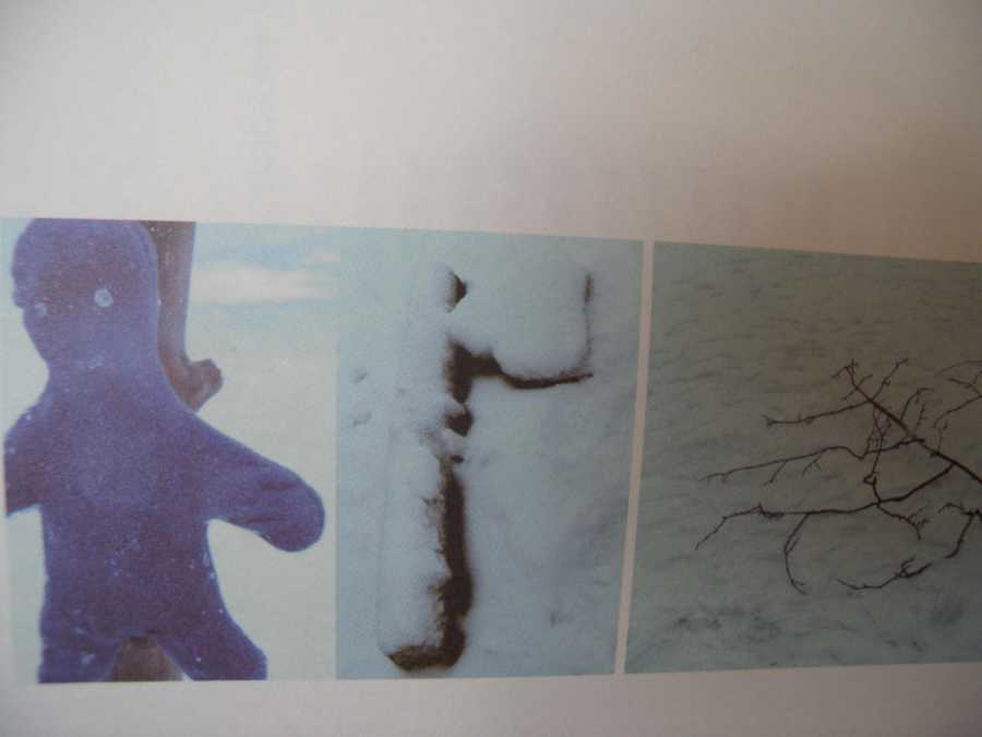 Ivy Ma "Perception of Phenomenal Soundlessness" excerpt