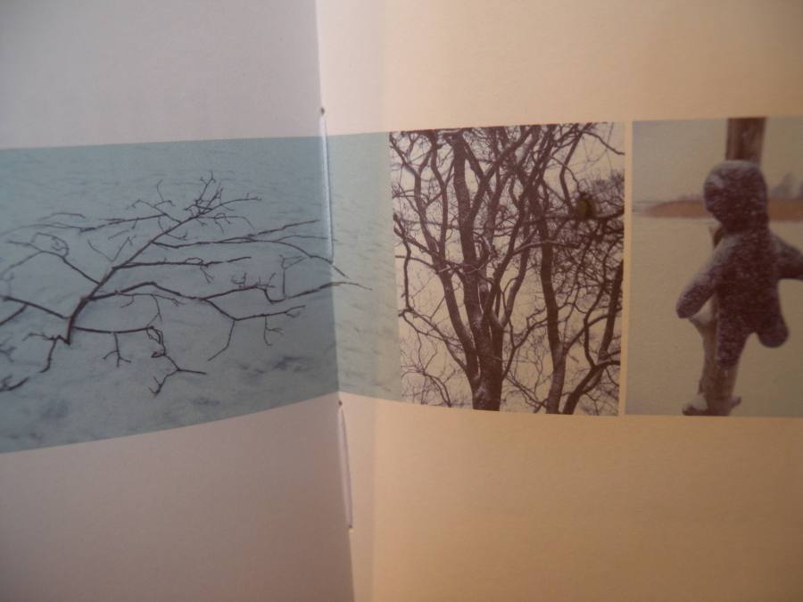 Ivy Ma "Perception of Phenomenal Soundlessness" exerpt