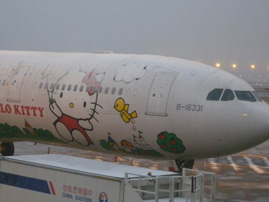 not my plane but another awaiting passangers at Shanghai airport