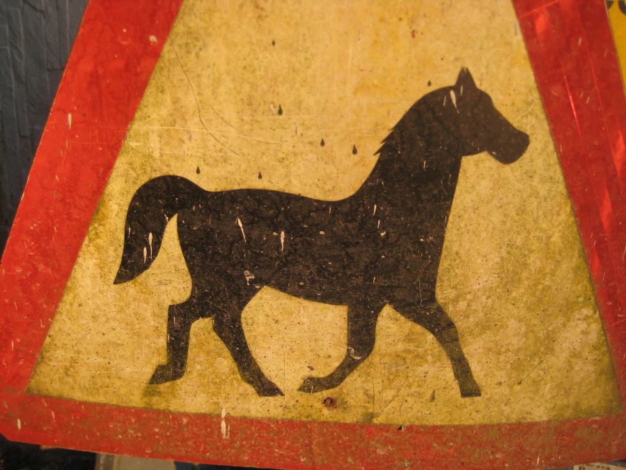 pony sign somewhere in Hong Kong probably near Hang Hau [I can't quite remember]