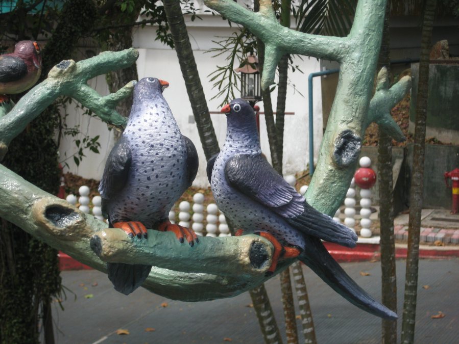 concrete pigeons