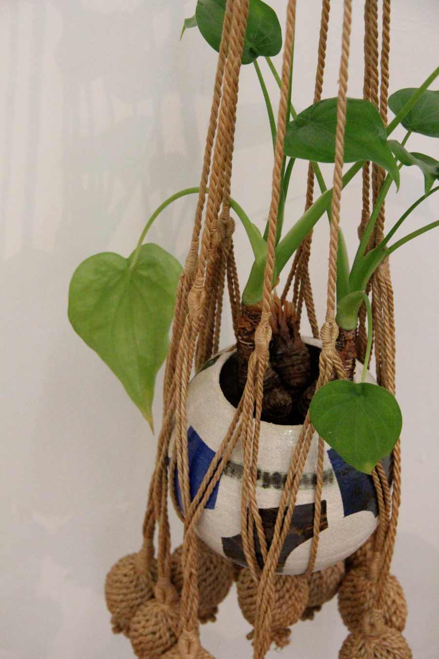 fracturing the concrete rhizome - Unit Gallery , September 2012