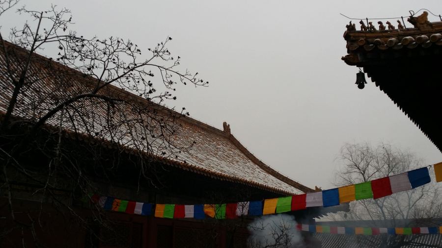 lamma temple flags - the few million people left in Beijing congregated here on New Year's Day 