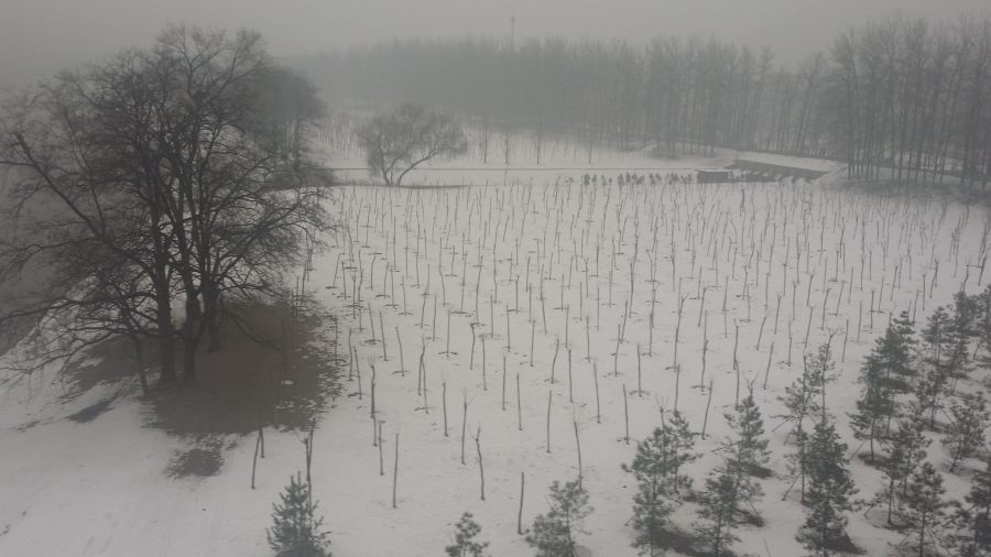 snowy landscape seen from the airport express