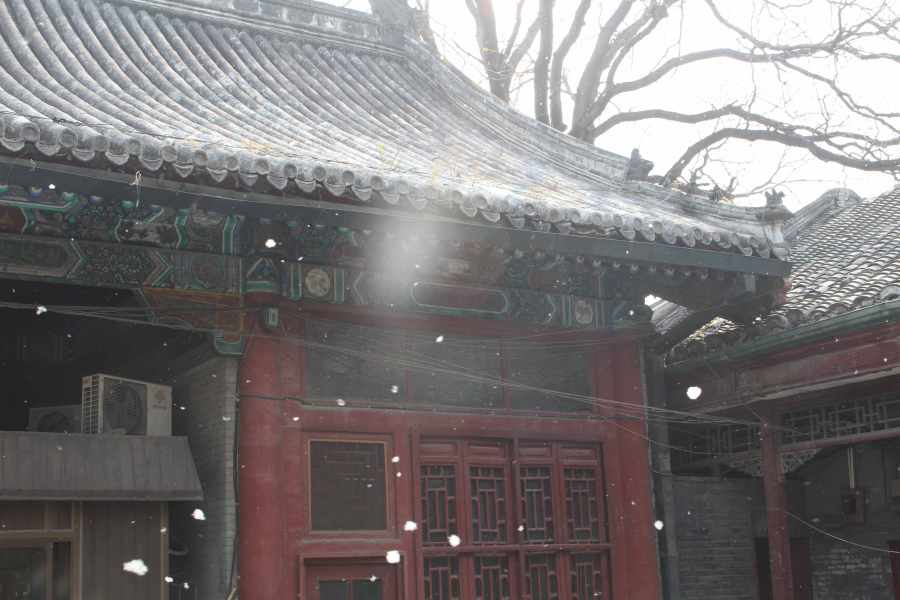 the snow that's made of fluff